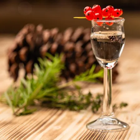 Spinnerhof ホテル